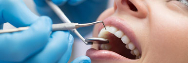 Dentistry & Orthodontics