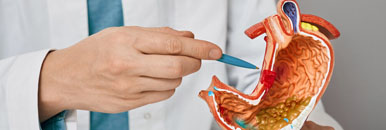 Gastroenterology & Hepatology